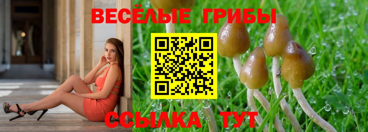 Галлюциногенные грибы мухоморы  Галлюциногенные грибы Psilocybine cubensis  Вход с VPN  Абакан 